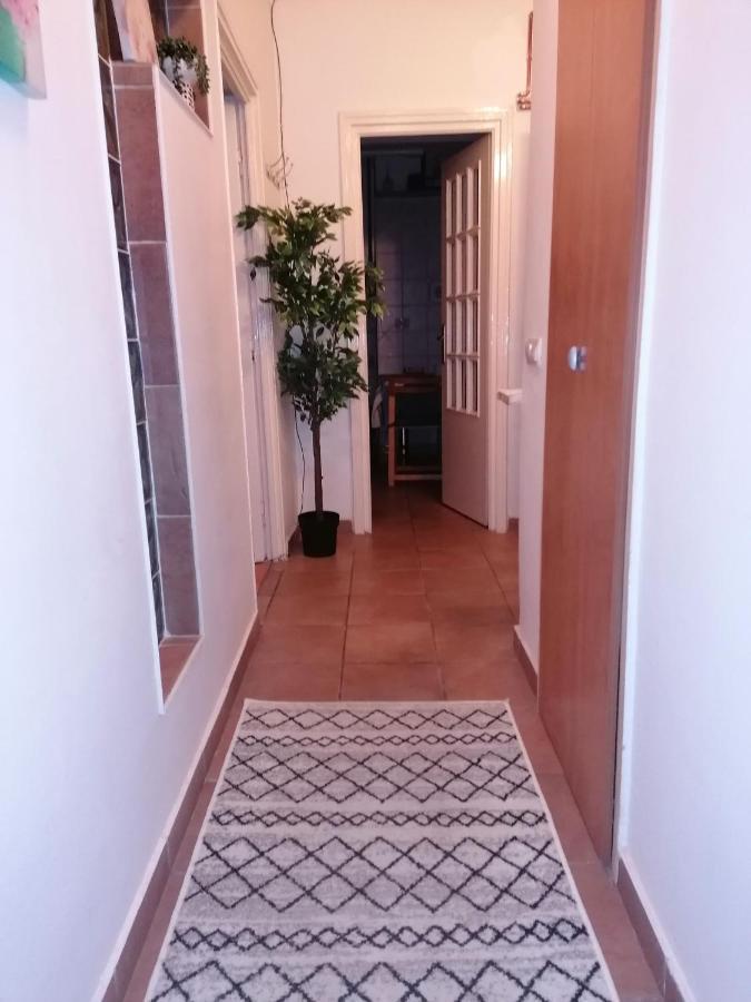 بوخارست River View, In City Center Apartment المظهر الخارجي الصورة