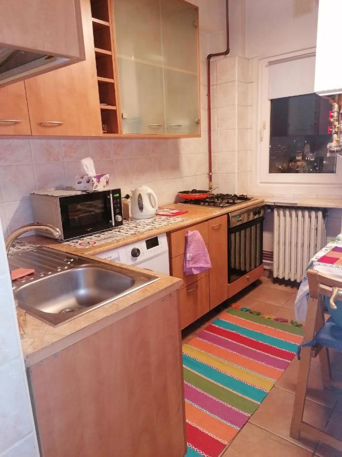 بوخارست River View, In City Center Apartment المظهر الخارجي الصورة