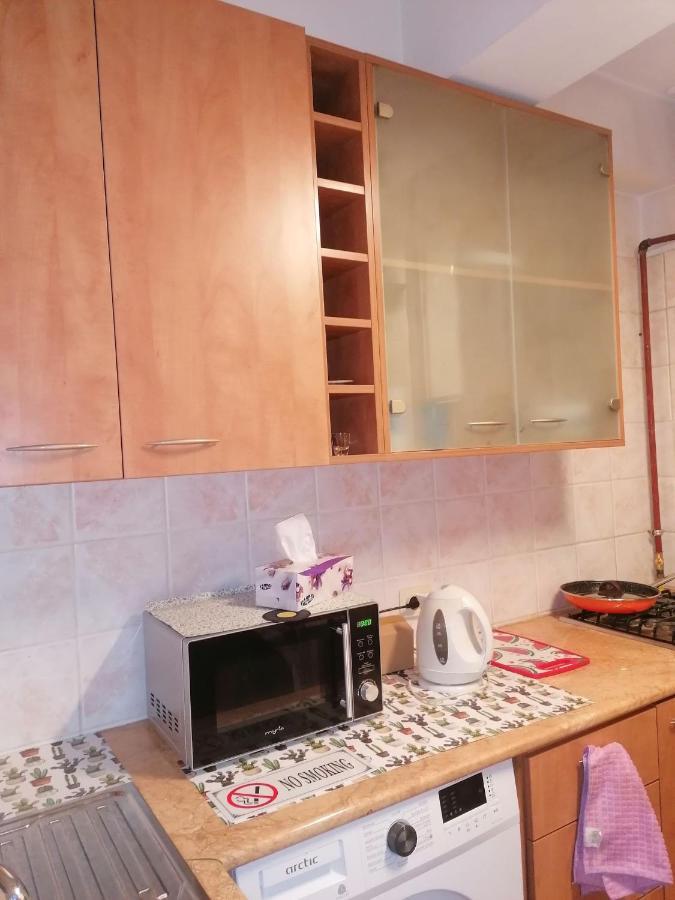 بوخارست River View, In City Center Apartment المظهر الخارجي الصورة